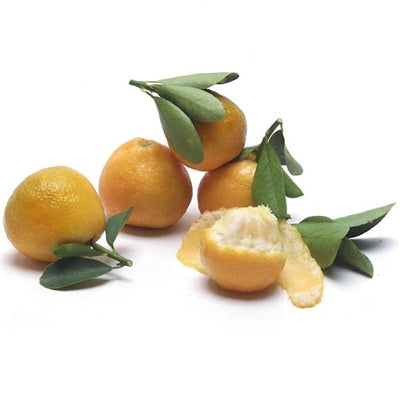 Fukushu Kumquats